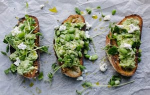 food 08